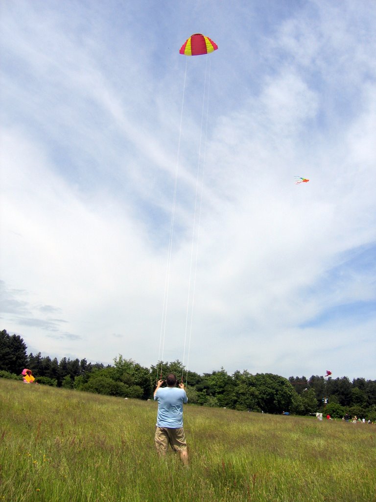 Kite Flying at Beacon Park by brunny100