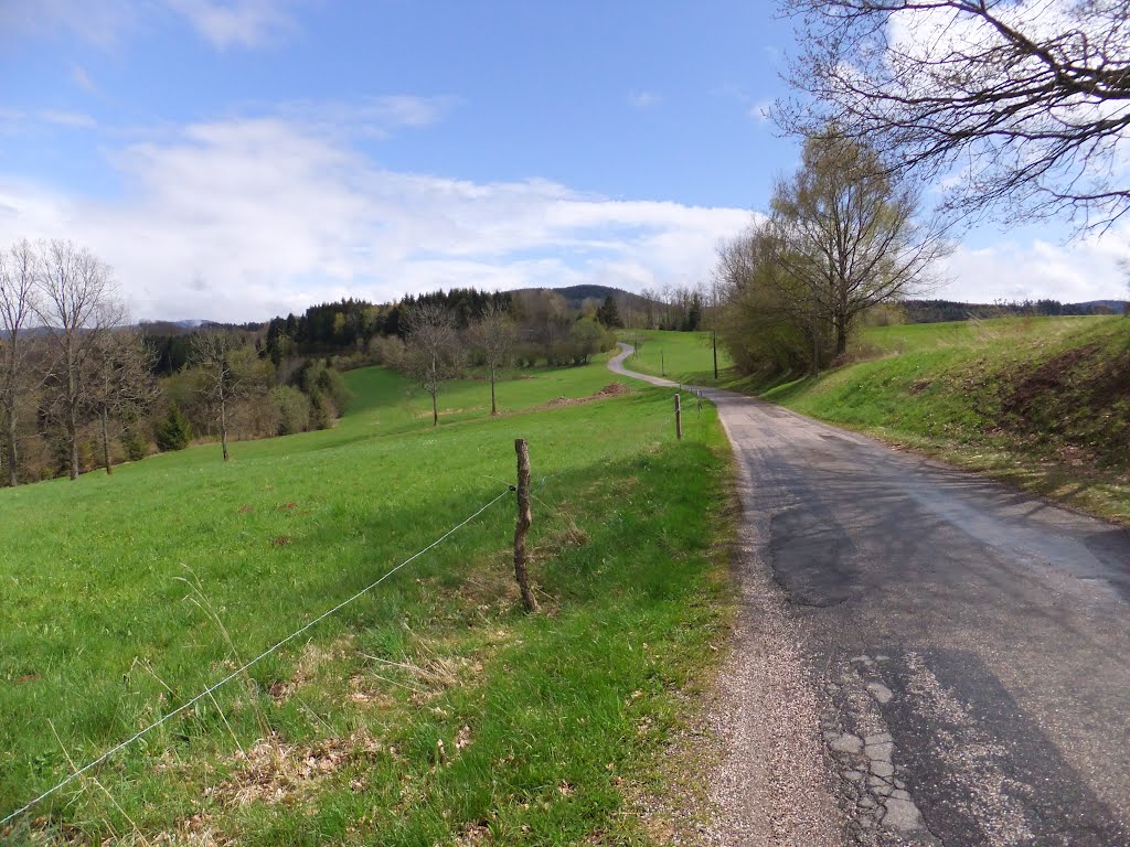 Route Vosgienne : La Planchette, vers Fouchifol by Nidoo