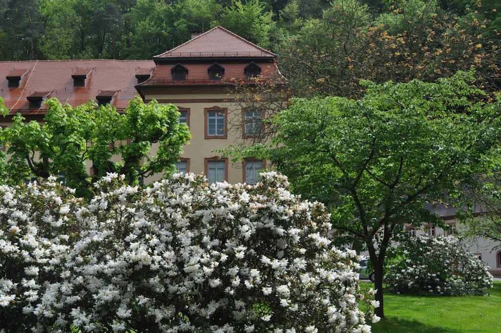 Kloster Lichtenthal in Baden-Baden von Siegfried Kremer by Siegfried Kremer Philippsburg