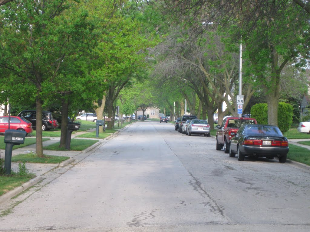 West on Devon av by Rick Rodriguez