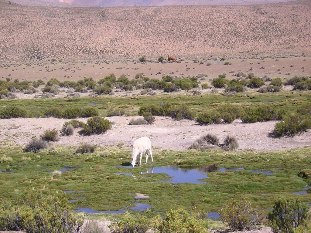 Guado del Rio Mocomocone by maremagna