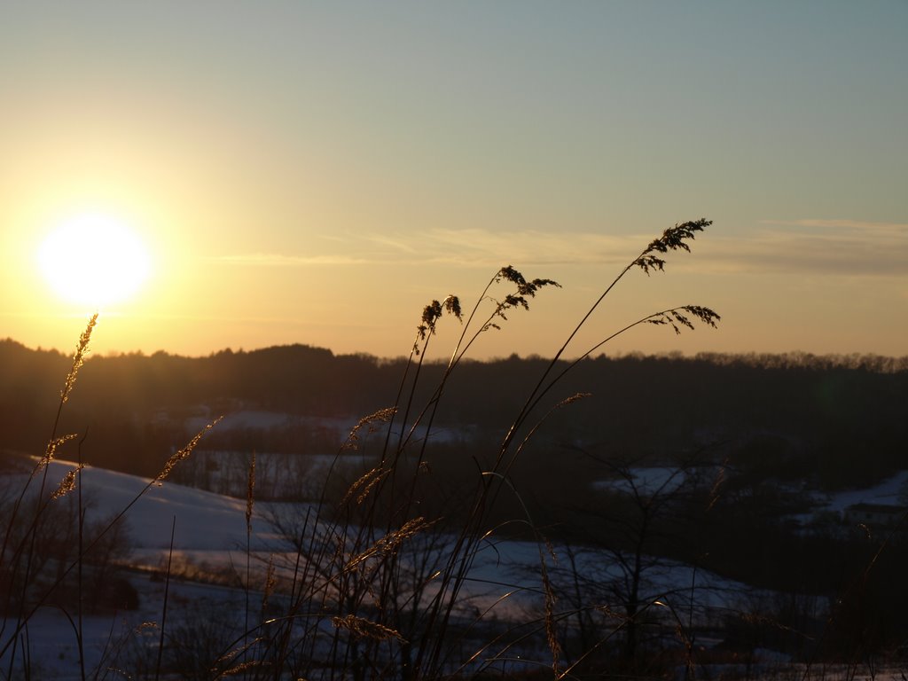 Indian Grass Sunset by Blake of the Bluffs