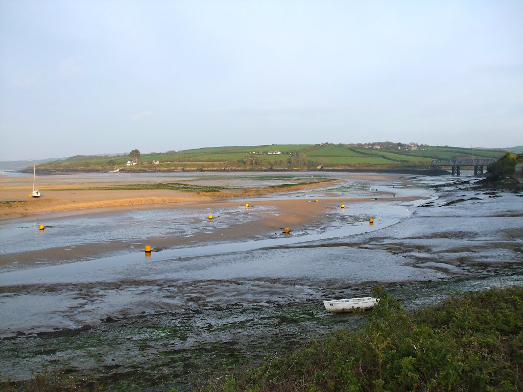 Camel Estuary at Low Water by rustyruth