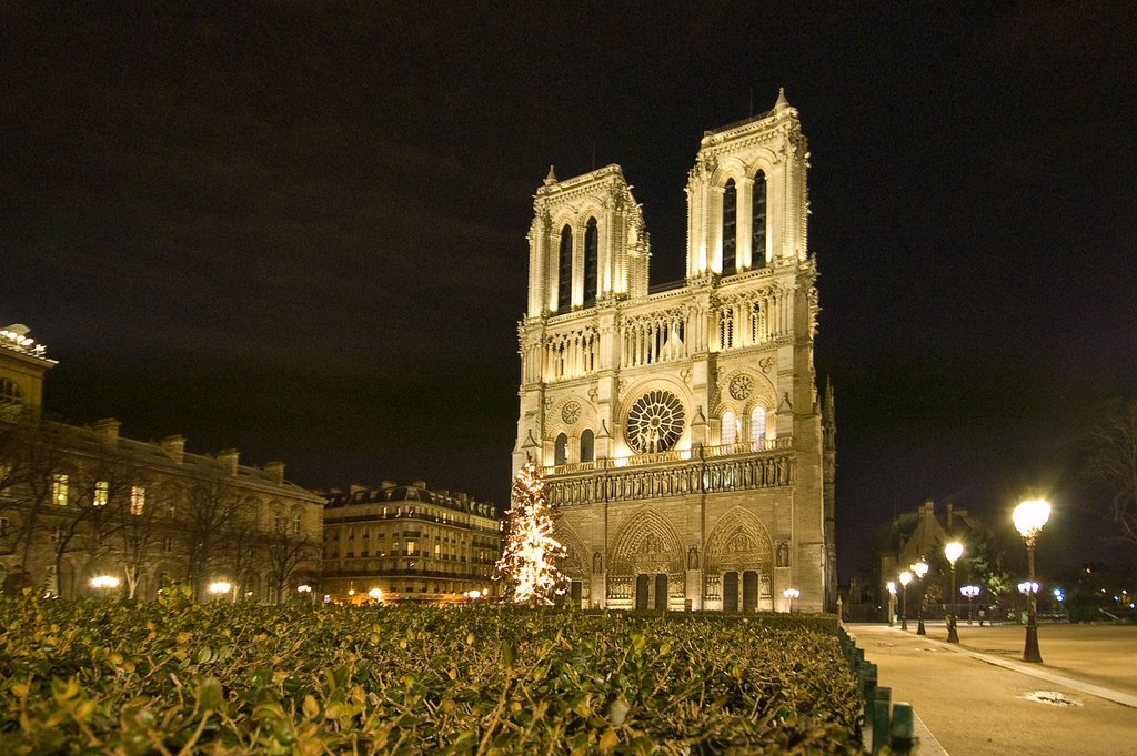 Paris, Notre Dame by Arnfried Zerche