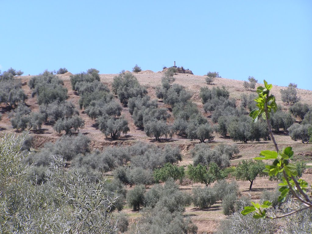 Vértice Geodésico Parejo en Huetor Tajar by isapama