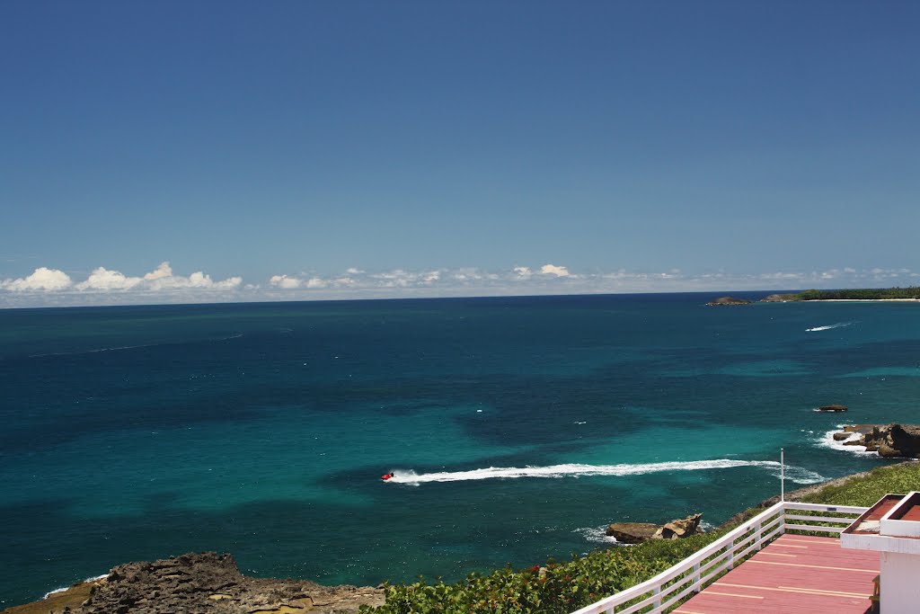 Costa de Arecibo by Ricardo David Jusino