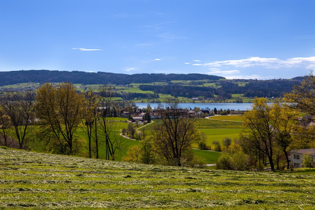 Sicht_auf_den Greifensee_und_Riedikon by MaCello