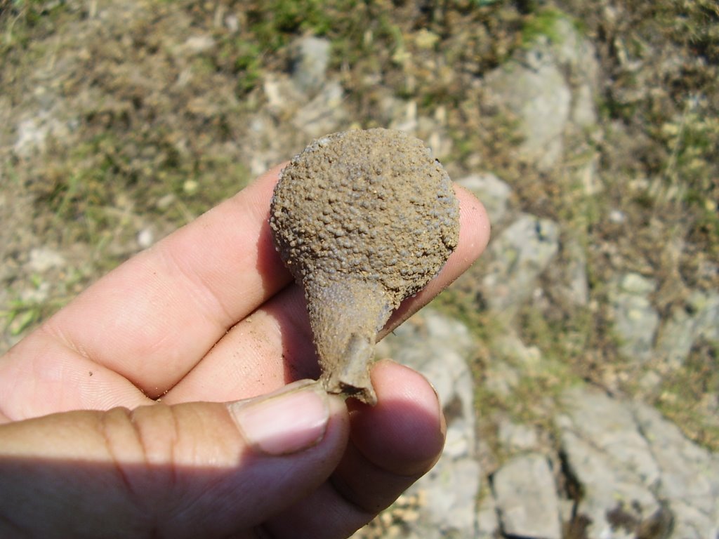 KALNU KUOY - BLOODY VILLAGE SAGINIT AGATE by виктор йорданов