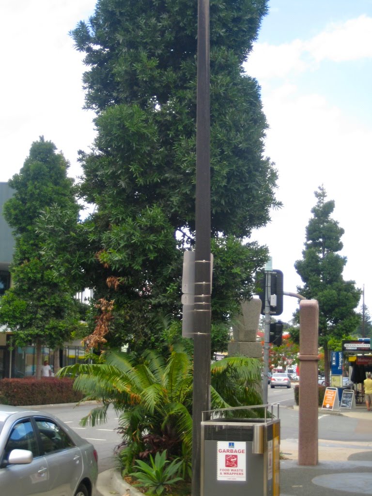 Street-Plantings by Ernesto Tilbrook