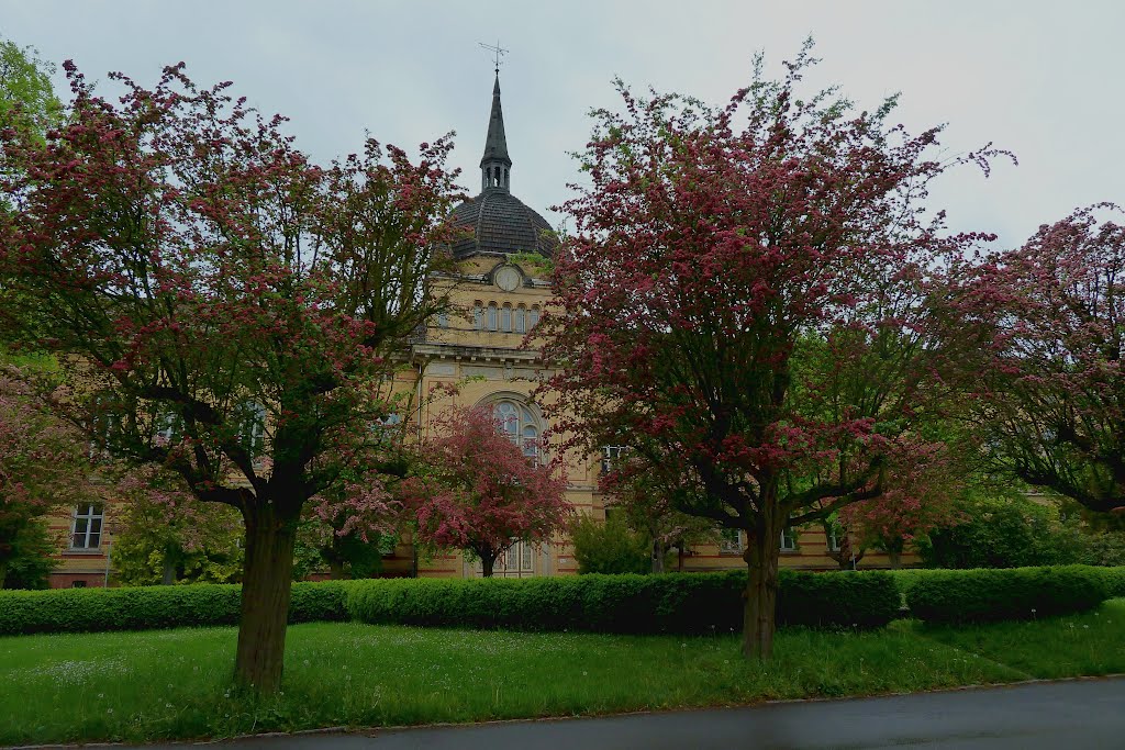 Berlin, Rotdornblüte in Biesdorf by klaus183