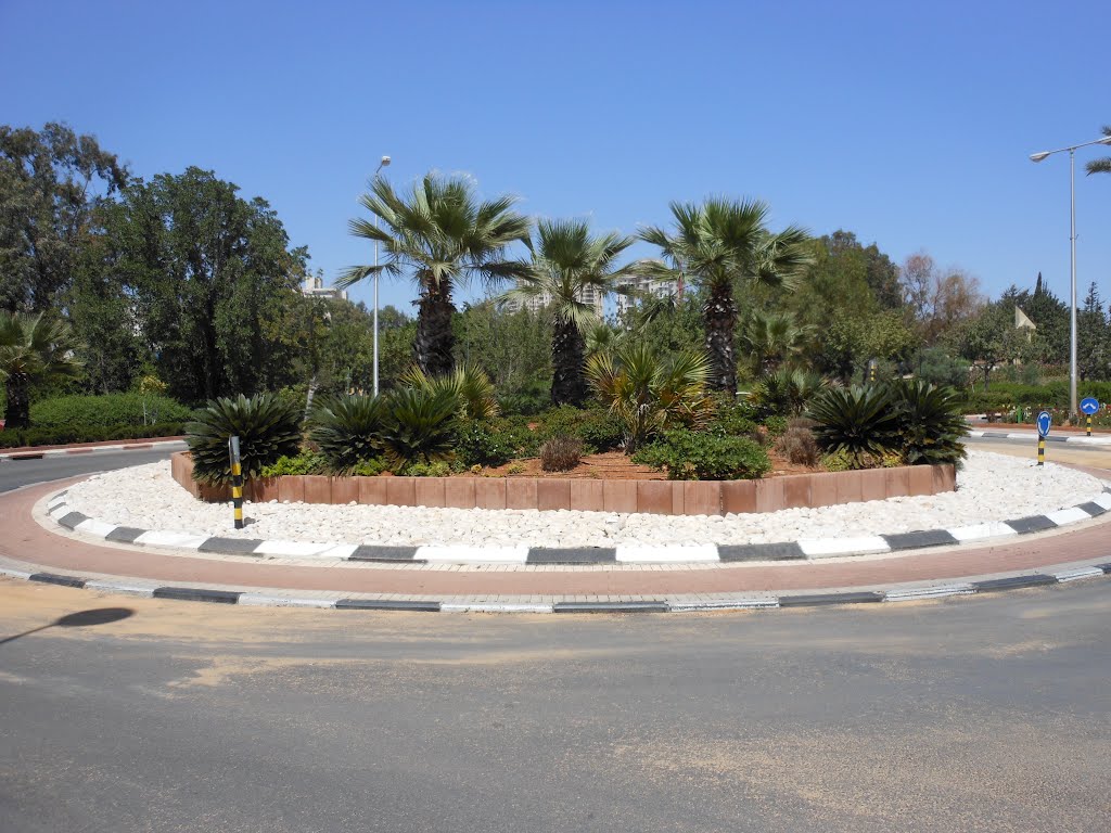 Ne'ot Shikma q. Rishon Le Zion by sasharivman