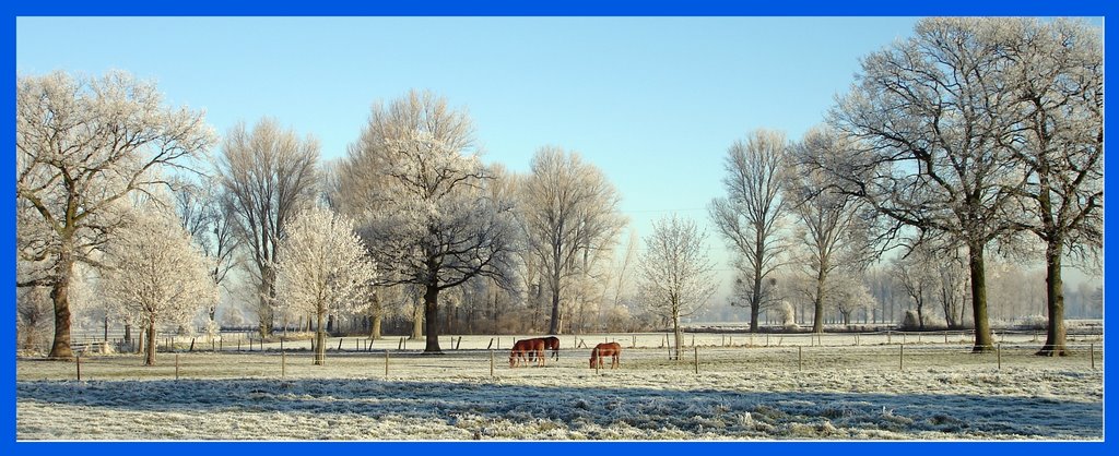 Winter in Horst by hehahorst