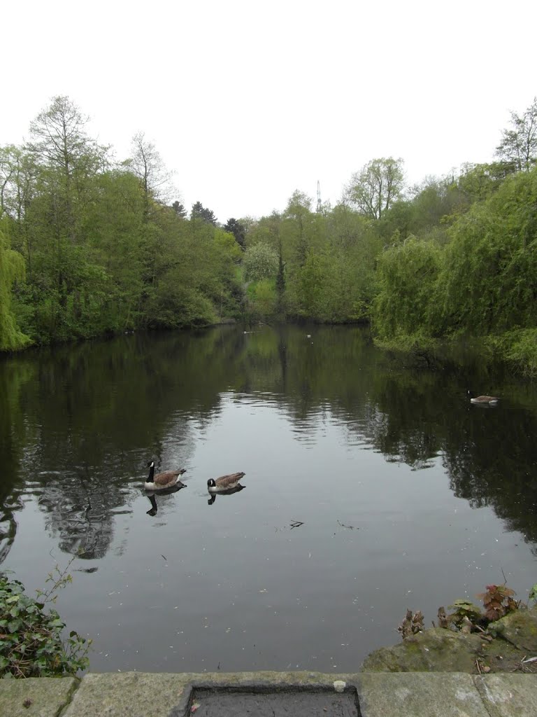 Lake in Waterlow Park by Shimmerxxx