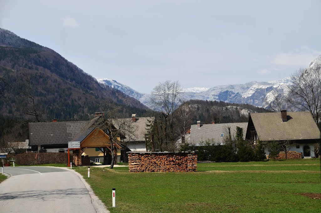 Alps Mountains Bohinj Lake (Jezero) Slovenia Bohinj 湖 斯洛文尼亜 by Cheuk