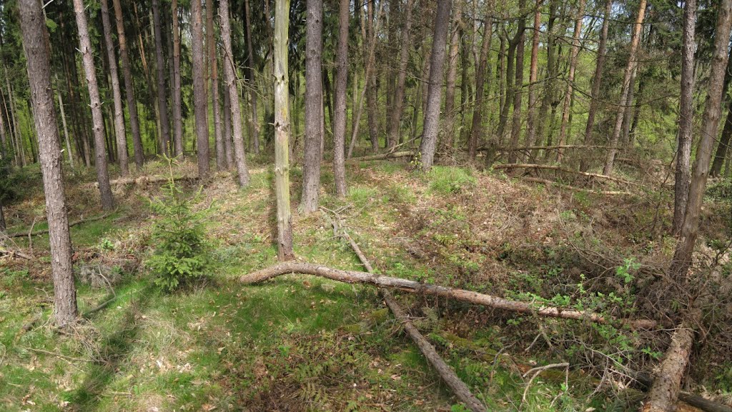 Römischer Limes-Wachtposten (WP 3/5*, ö Holzturm, 04/2012) by Astrodoc