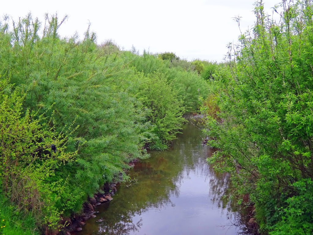 Tarpenbek im Frühling by rickert-hamburg