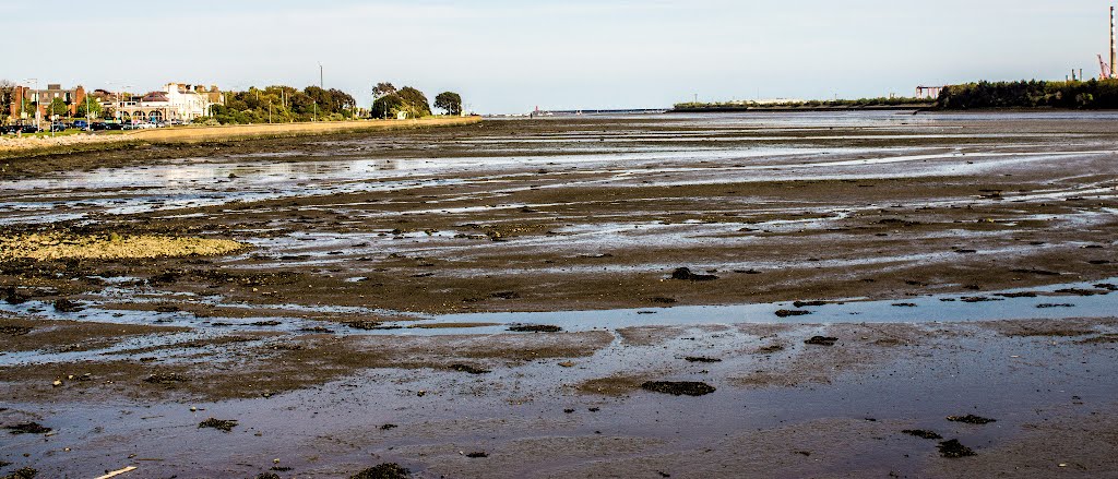 View From Alfie Byrne Road (Dublin) by infomatique