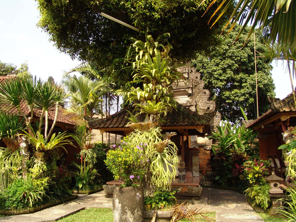 Garden/plants - palace Ubud by world of pictures by KlausH