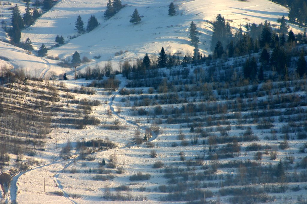 Lines of former fields above Zuberec by Jan Madaras