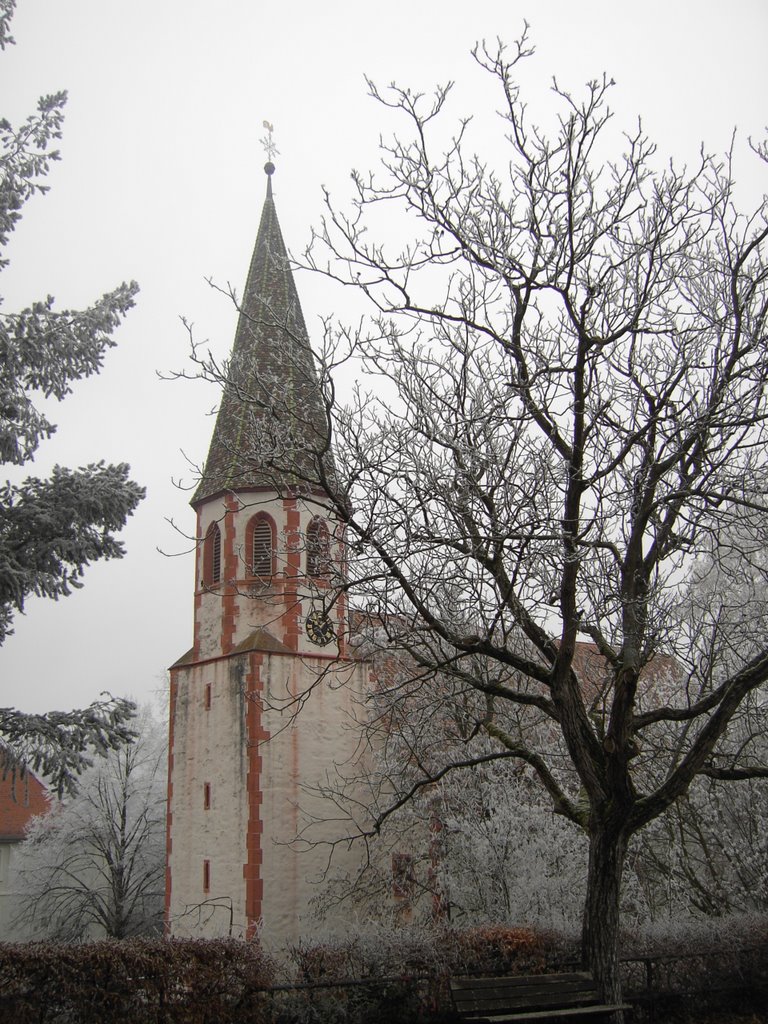 Evangelische Kirche Grötzingen by martin_westphal