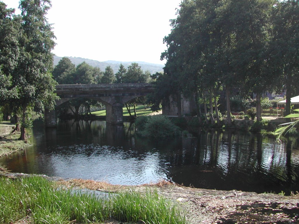 Puente Allariz (Orense) by karmarx