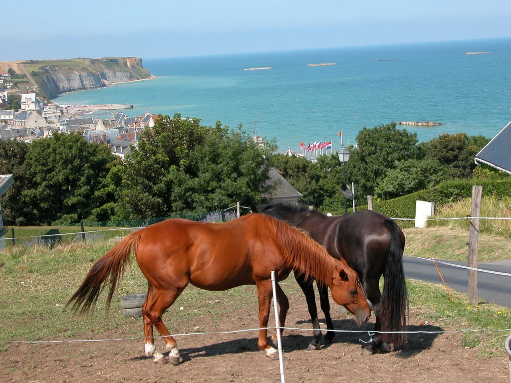 Vue d'Arromanches et vestiges port artificielle de 1944, 2005-08-21 by BRufiange