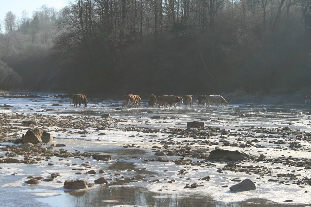 The River San, Bieszczady Mountains, Poland by ptolemeusz