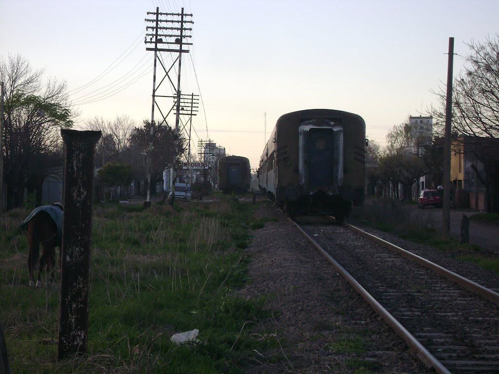 El tren de Lincoln (izq) y el de Pehuajó (der.) entrando juntos a Bragado by Sebastián Gutiérrez