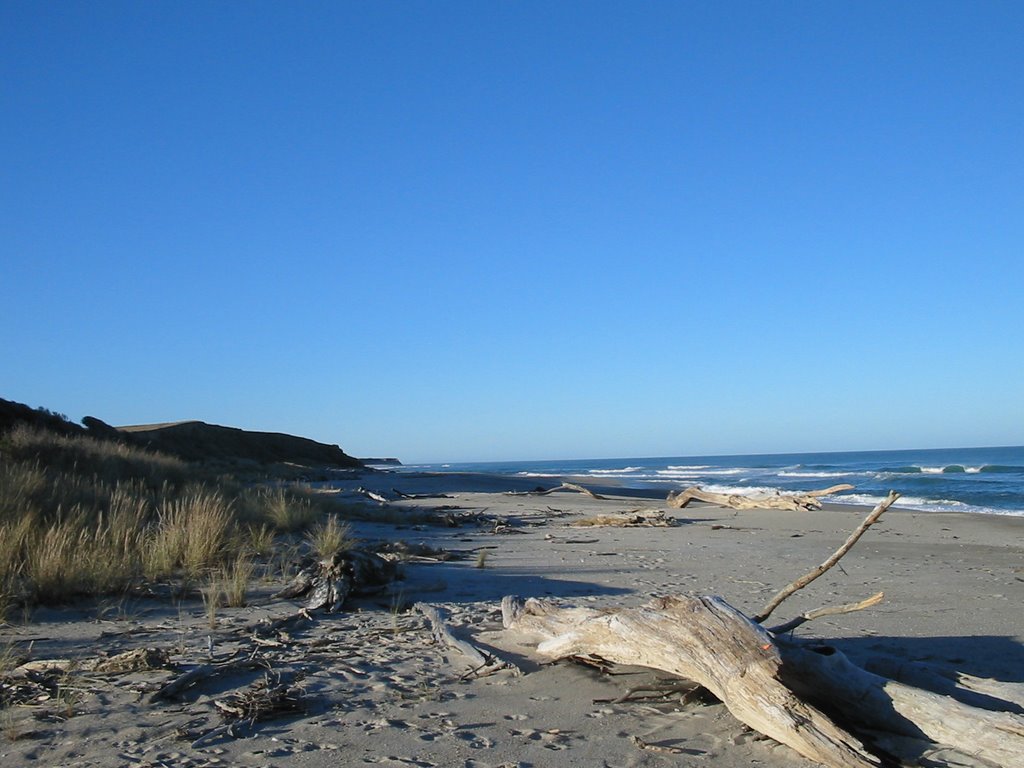 Wangaloa Beach looking northwards by JuliafromBavaria