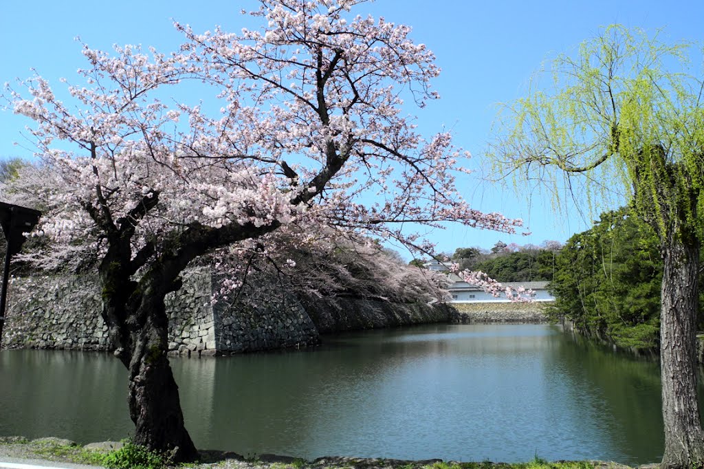 Hikone Castle, Shiga Prefecture by JohnMuzi