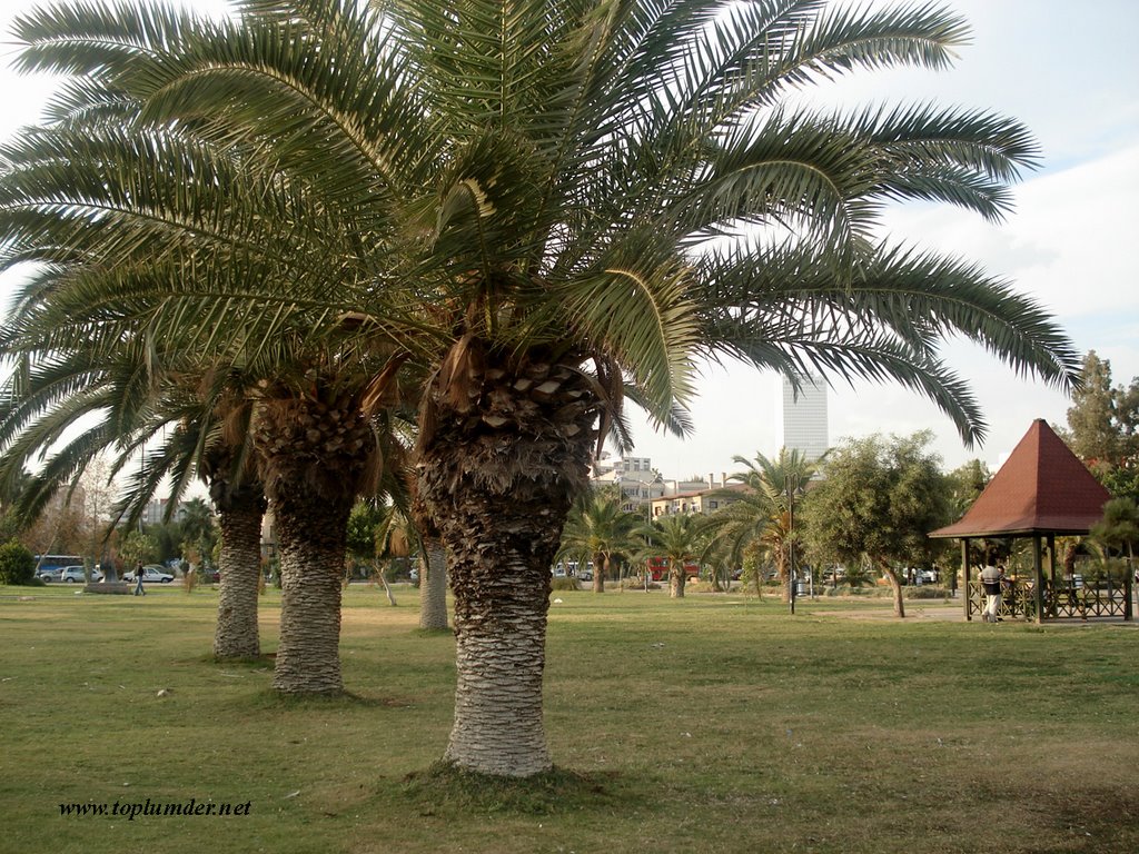 Mersin - Park 1 by Bayram6