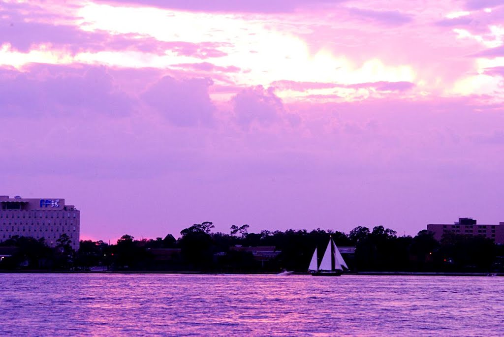 St John's River by samfeltus