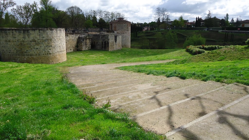 Negrepelisse vue du chateau by mamilili