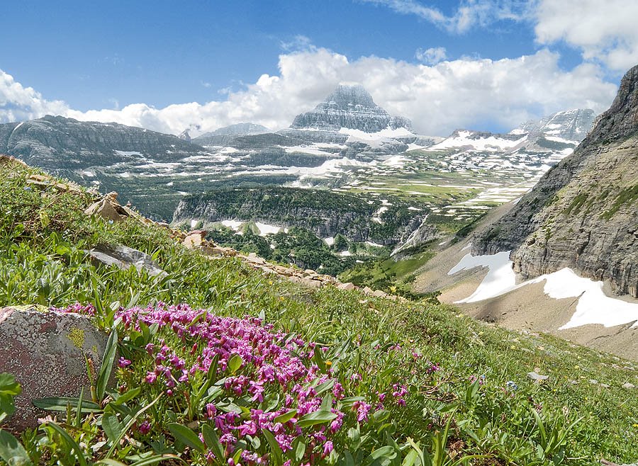 Reynolds Mountain as viewed from Piegan Mountain, Glacier National Park, MT by Jerry Blank