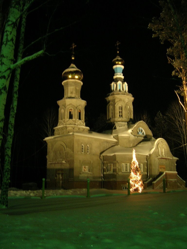 Russia, Novosibirsk Region, Koltsovo, Winter / Россия, Новосибирская область, Кольцово, Зима by Vladimir Kharitonov