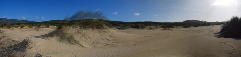 Sandunes at the beach of Cascais by Ferenc Kis