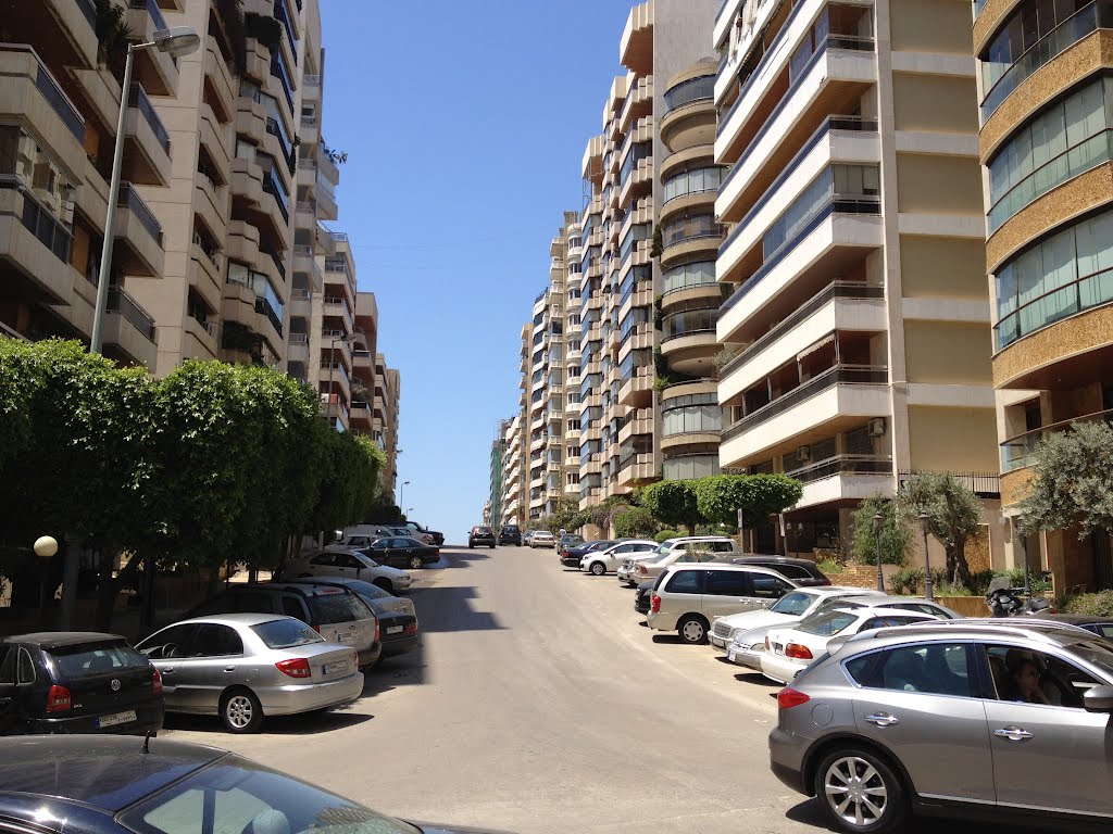 Beydoun family in beirut by salim beydoun