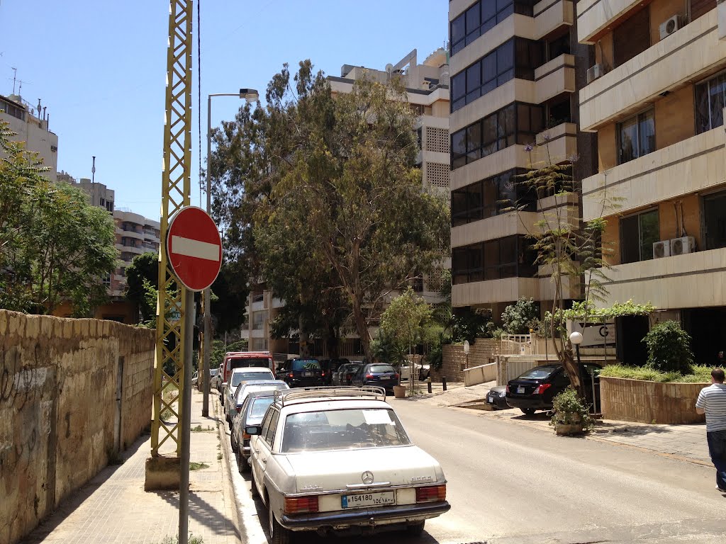 Beydoun family in beirut by salim beydoun