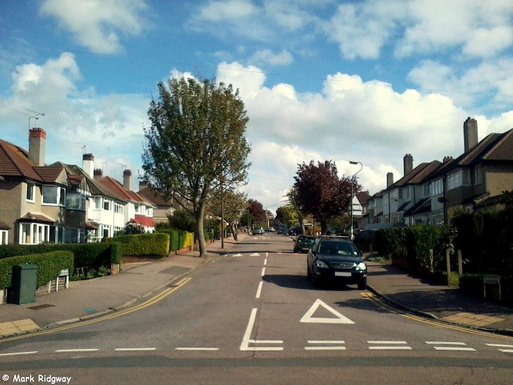 Benhurst Gardens by Mark Ridgway