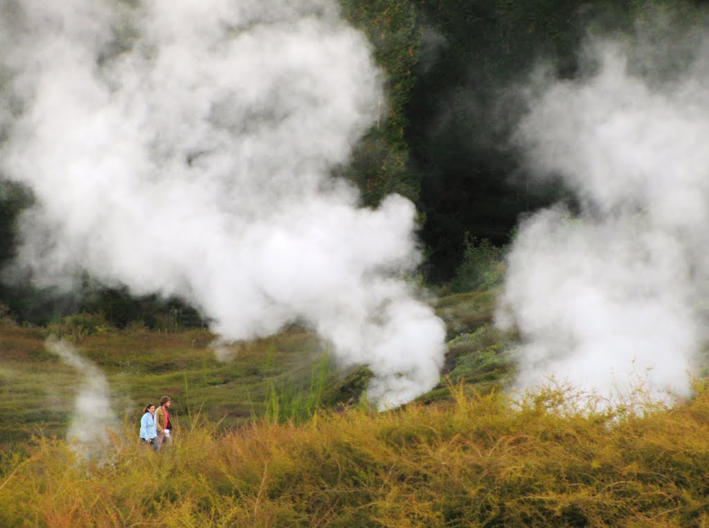 Couple & steam - Craters of the Moon, North Island, New Zealand. by André Bonacin