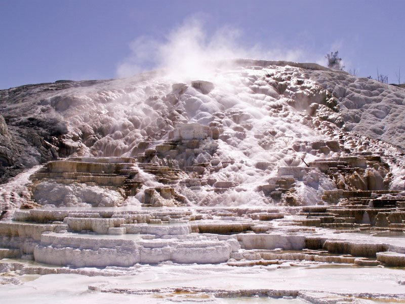 Mammoth Hot Springs by Anton Jensen