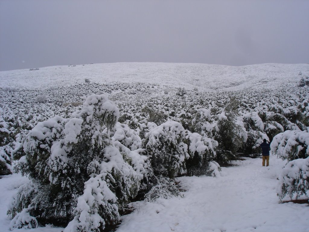 Nieve en la Sierra de Dos Aguas 3 - Masia el Olivar by micro695