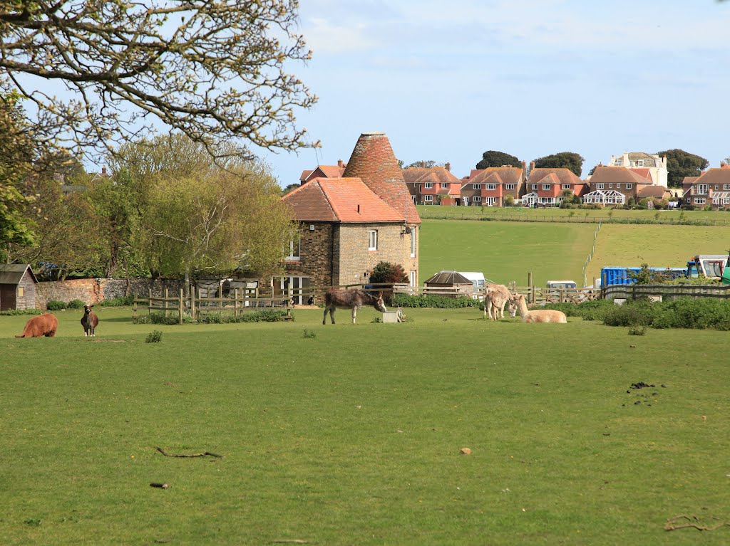 Little Elms Farm, Elmwood Avenue, Broadstairs by David Carr