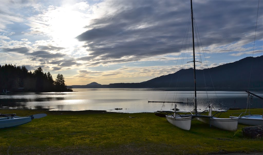 Lake Quinault, Washington by Buddy Rogers