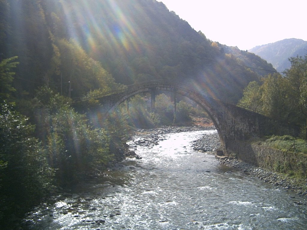 ONE OF THE BRIDGES ON THE WAY TO AYDER by yasarbilgic