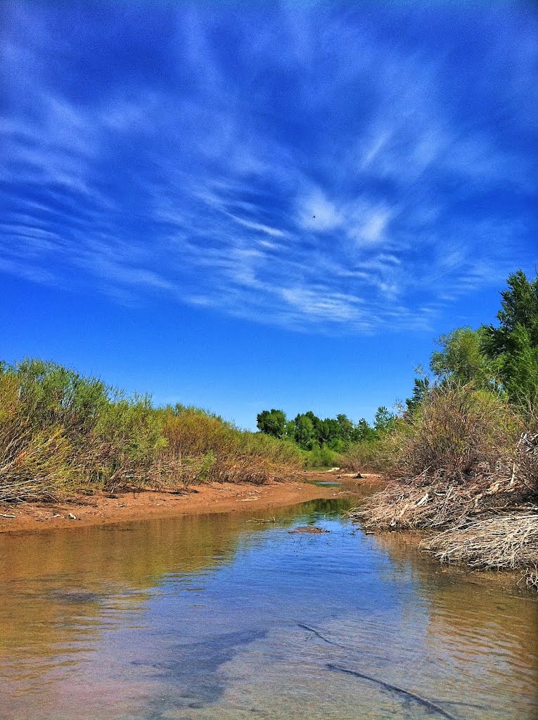 Inlet on the Snake River by Ross Dean Mitchell .com