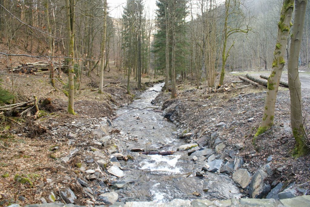 Große Lonau am Wanderparkplatz im Kirchtal bei Lonau (Harz) by Altmeister