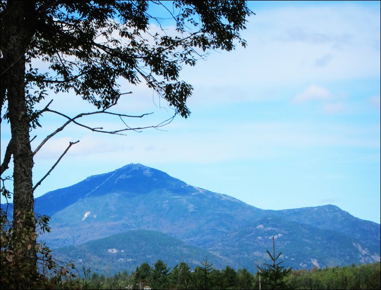 View from the Ski Jumps -- September by ellenjones6