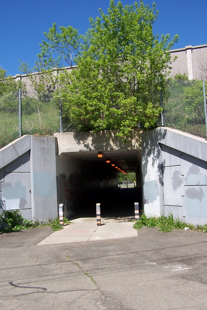 Cutler Ave Ext Bikepath Tunnel @ CBPSS by RDM67