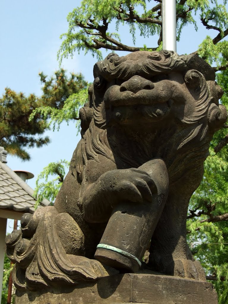 大戸神社　狛犬（吽） by jogunata